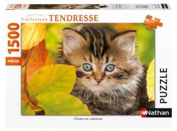 NATHAN CASSE-TÊTE 1500 PIÈCES - CHATON EN AUTOMNE #76-00945